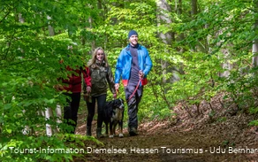 Rundwanderweg Diemelsee Wirmighausen Rundwanderweg Diemelsee Wirmighausen