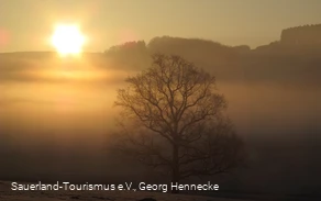 Nebelstimmung bei Reiste