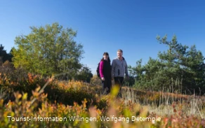 Paar beim Wandern auf dem Ettelsberg 
