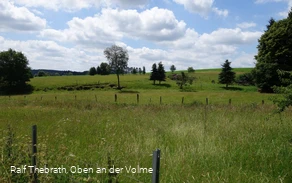 Wiesen und Weiden entlang des (Spazier-)Wanderweges