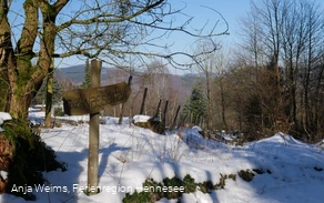 Wegweiser zum Wasserfall Wegweiser zum Wasserfall