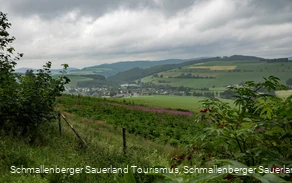 Blick auf Bödefeld im Sauerland