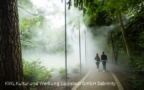 Nebelweg Bad Waldliesborn