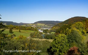 Blick vom Stryck auf Willingen 