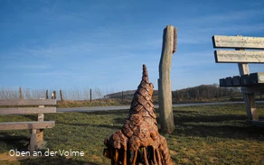 Scheuerpfahl Bürste