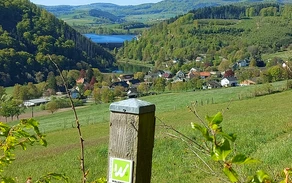 20260501_102558.jpg