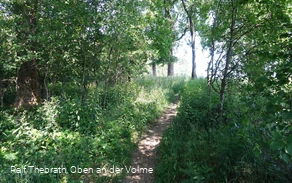 Schmalen Pfade sorgen für eine erlebnisreiche Kurzwanderung