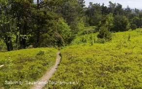 Der Sauerland-Höhenflug bei Düdinghausen