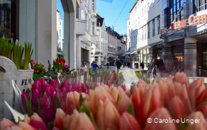 Shopping mile city center.jpg