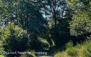Liesetalweg (L3) Liesen