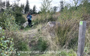 Sauerland-Waldroute Etappe Lattenberg-Neuhaus (c) Janine Plugge_CC-BY-SA (36).jpeg