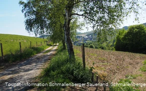 Blick auf Cobbenrode im Sauerland