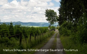 Ankunft am Wanderparkplatz "Am Brande" Ankunft am Wanderparkplatz "Am Brande"