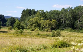 variant.jpg variant.jpg