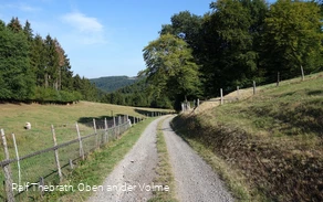 Gut zu gehende Schotter-, Forst- und Asphaltwege sind typisch für diesen Rundweg Gut zu gehende Schotter-, Forst- und Asphaltwege sind typisch für diesen Rundweg