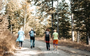 vier Wanderer auf Weg