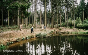 Wanderer am See