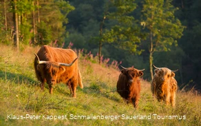 Wandern rund um Latrop