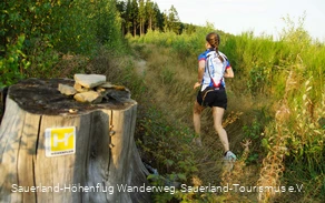 Trailrun Sauerland-Höhenflug