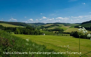 Blick ins Ilpetal