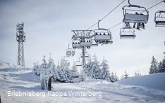 Schnee in Winterberg.jpg