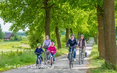 Radlerfamilie fährt durch eine Allee