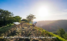 Viewpoint with information boards