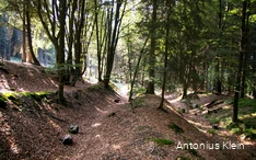 The Schlüsenpfad near Drolshagen