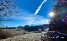 Visbuikbrug