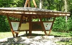 Naturerlebnis Wald Meerhof