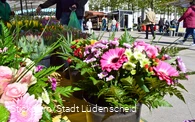 Lüdenscheider Wochenmarkt Blumenstand