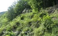 Werdohl_Kletterfelsen (11).jpg