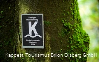 Olsberger Kneipp WanderWeg