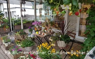 Blumen Lindner (1).jpg