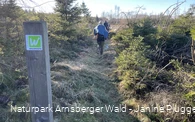 Wandergruppe im Januar auf der Sauerland-Waldroute