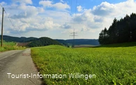 Wiesenlandschaft auf dem Geschichtspfad Welleringhausen