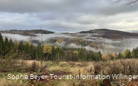 Nebel über dem Wald bei Rattlar