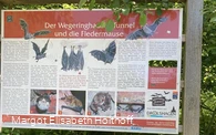 Der Wegeringhauser Tunnel und die Fledermäuse 2.jpg