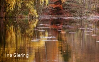 Hexenteich im Herbst