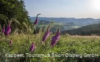 Landschaft Sauerland
