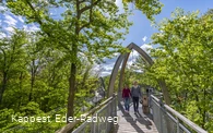 Familienglück am Edersee... Auf dem Baumkronenweg Edersee