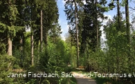 Naturerlebnispfad Hohe Bracht