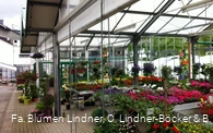 Blumen Lindner (4).jpg