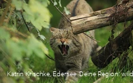 WildtierPark Edersee