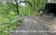 Feldhofhöhle im Hönnetal
