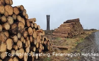 Holz am Wegesrand Lörmecketurm