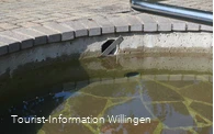kneippanlage-schwalefeld4 c) tourist-information-willingen.jpg