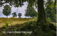 seelenort-schwalenburg-blick-auf-turm_c__klaus-peter_kappest.jpg