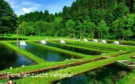 Fischteiche