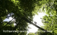 Hängebrücke bei Kühhude am Rothaarsteig